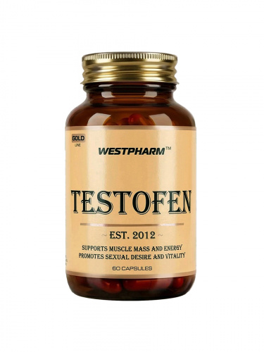 GL Testofen_ii