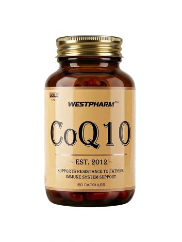 GL Co Q10_ii