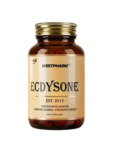 GL Ecdysone_ii