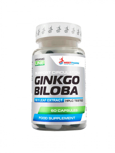 ginkgo_biloba_900_1200_WB