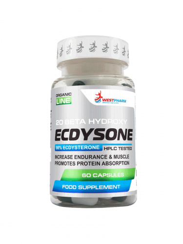 ecdysone_900_1200_WB
