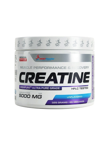 Sportmaster_WP_SN_Creatine unflavored