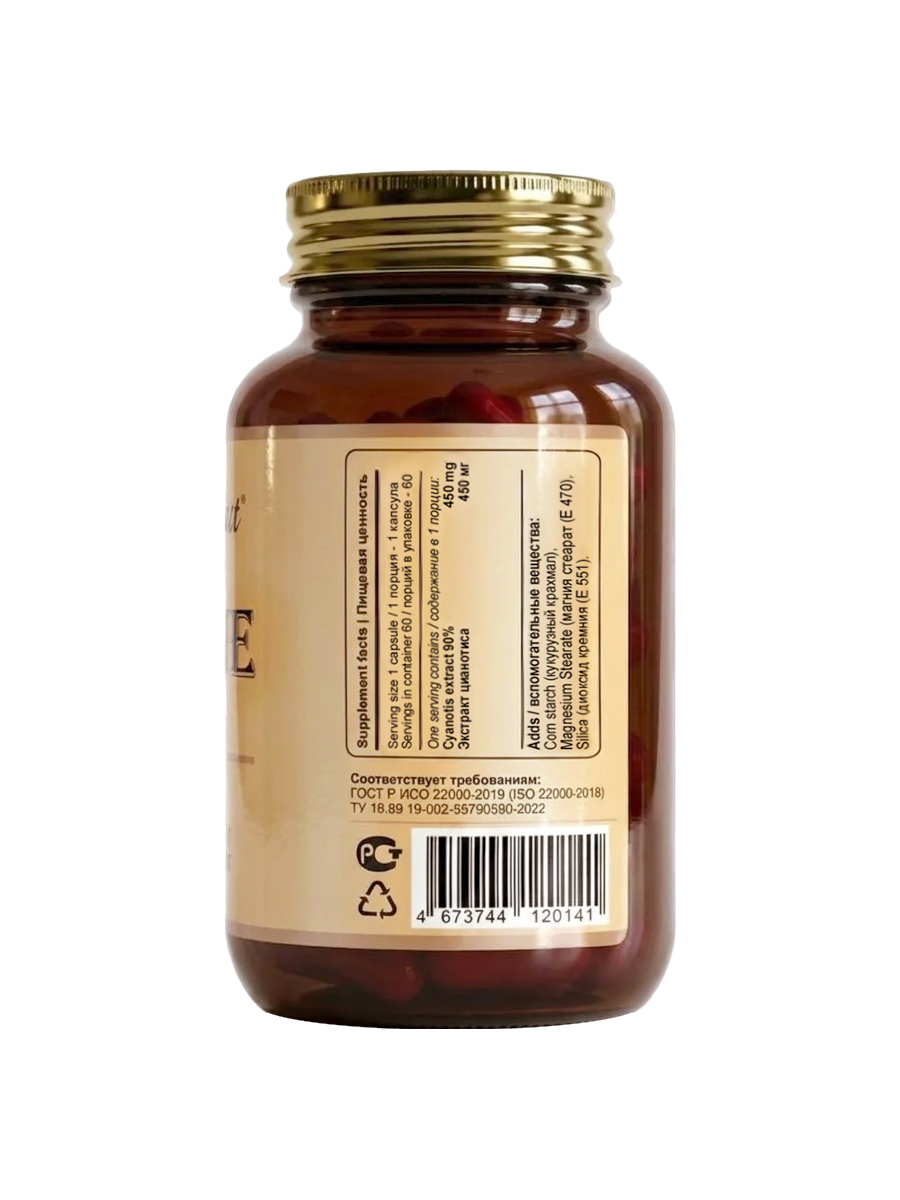 GL Ecdysone 02_ii
