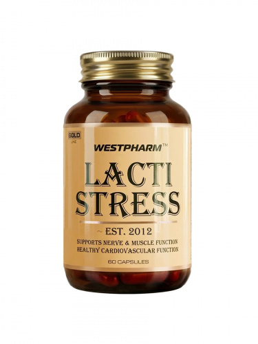 GL Lacti Stress_ii