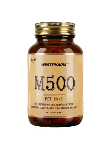 GL M500_ii